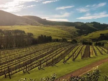Wineries