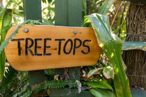 Treetops Bungalow